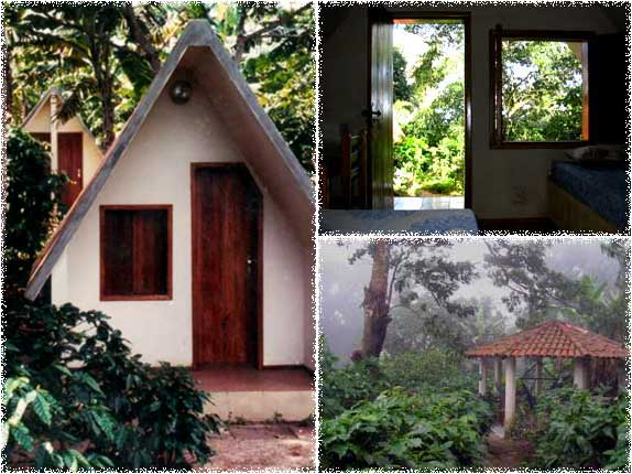 The chalets and gazebo of the pousada